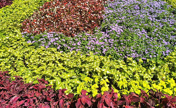 В Курске наградили победителей экологических конкурсов