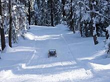 Дети бывшей солистки шансон-группы «Воровайки» погибли во время катания на санках
