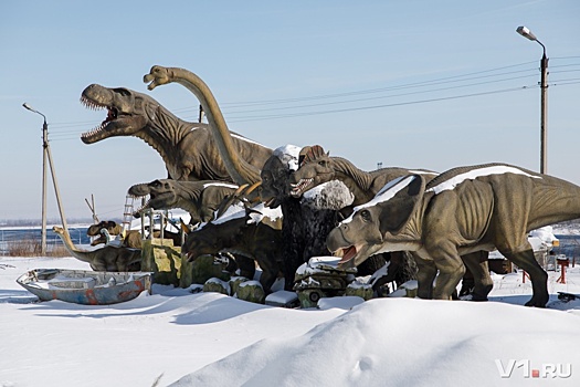 В Волгограде рядом с новым стадионом поселилось стадо динозавров