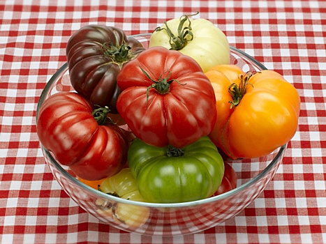 Как выбрать подходящие сорта томатов: 8 главных критериев отбора