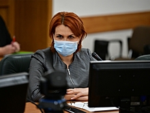 У мэра Ярославля появился зам по выборам