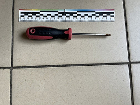 Москвича осудят за нападение с отверткой на пенсионерку на железнодорожной платформе под Калугой