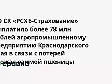 АО СК «РСХБ-Страхование» выплатило более 78 млн рублей агропромышленному предприятию Краснодарского края в связи с потерей урожая озимой пшеницы