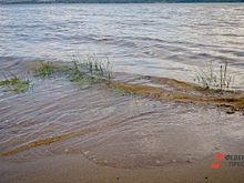 Из-за слива топлива море в Севастополе стало коричневым