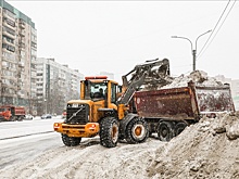 В Петербурге за зиму вывезли 25 тысяч самосвалов снега