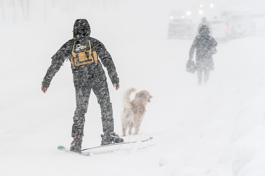 МЧС России показало масштаб работ по уборке снега на Камчатке