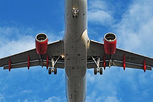 Россиянам предложили отпраздновать Новый год в полете