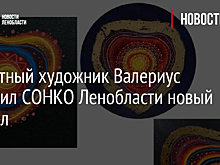 Известный художник Валериус подарил СОНКО Ленобласти новый символ
