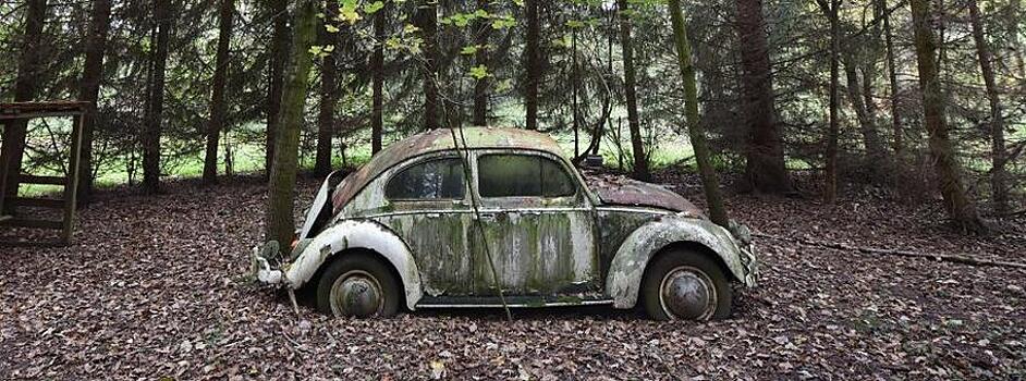 Скандал шагает по континентам