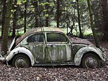 Скандал шагает по континентам