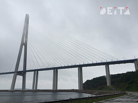 Оранжевые жилеты забастовали на федеральной стройке в Приморье