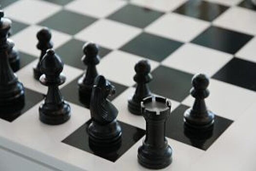 Шахматный турнир провел районный Дом детского творчества в формате онлайн