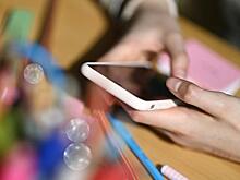 «МАКСимальная защита», говорите? Большинство сливов персональных данных в 2025 году пришлось на госсектор