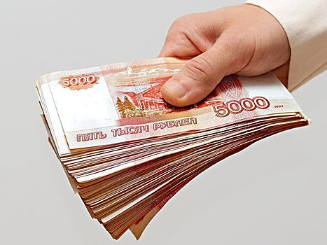 Более четверти опрошенных россиян заявили о наличии финансовой подушки