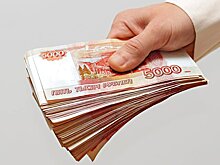 Более четверти опрошенных россиян заявили о наличии финансовой подушки
