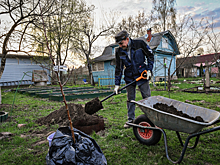 В России цены на покупку загородной недвижимости за год выросли на 30%