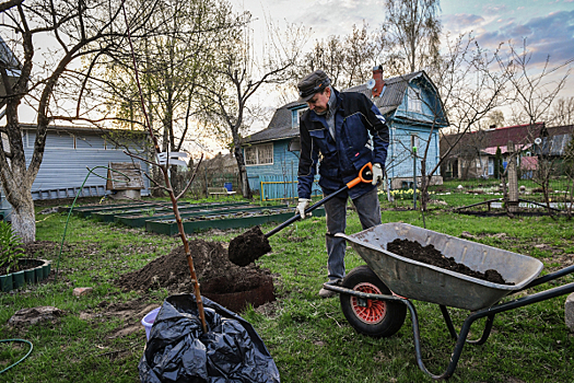 В Госдуме предложили ввести налог на разведение животных на даче