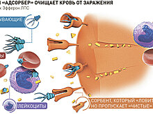 Ученые создали уникальное средство против заражения крови