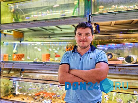 Делаешь вскрытие, а печени у рыбки нет: ростовский аквариумист о проблемах бизнеса