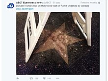Звезду Трампа на Аллее славы Голливуда отремонтировали после того, как ее снова разбили