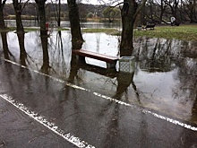 Прибрежные зоны водоёмов подтопило в Измайловском лесопарке