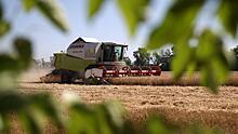 Египет закупит миллион тонн российской пшеницы