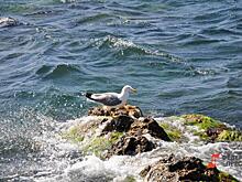 Известная ведущая раскритиковала условия проживания в Геленджике