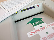 СПЧ попросит ЦИК пересчитать голоса в Щелково