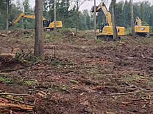 MK: жители Подмосковья протестуют из-за отношения властей к природоохранным зонам