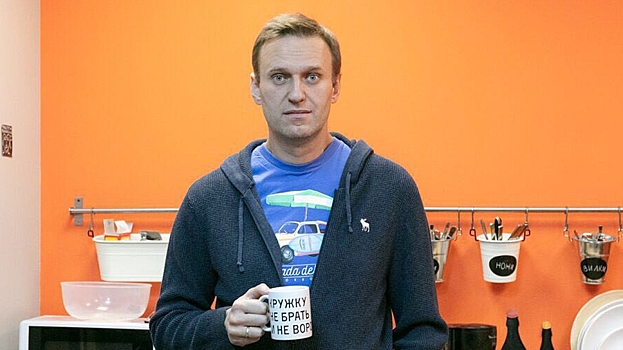 Навальному предъявлено обвинение в создании посягающей на личность и права граждан НКО