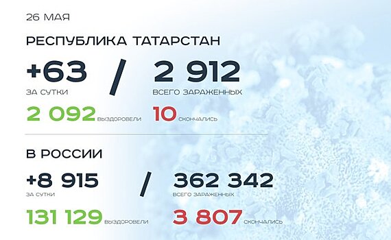 Главное о коронавирусе на 26 мая: в России максимум смертей в сутки, Метшин обещал масочный режим до 2021 года
