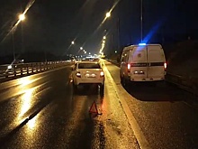 Полицейская «ГАЗель» попала в ДТП в Нижегородской области