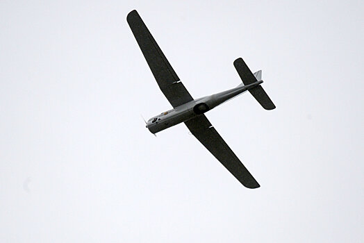 Видео: армянский дрон-камикадзе испытали на учебной цели