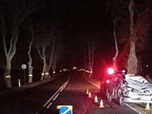 В районе Мамоново лось едва не погубил автомобилиста