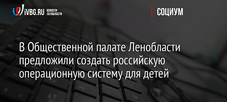 В Общественной палате Ленобласти предложили создать российскую операционную систему для детей