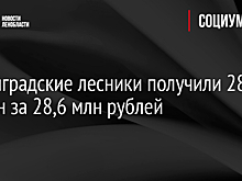 Ленинградские лесники получили 28 машин за 28,6 млн рублей