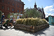 В столице стартовал фестиваль «Московское лето. Цветочный джем»