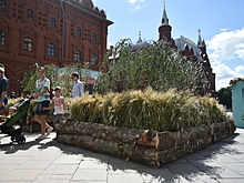 В столице стартовал фестиваль «Московское лето. Цветочный джем»