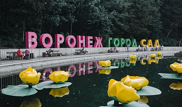 308 тысяч гостей: Как прошел и чем запомнился воронежцам фестиваль «Город-Сад» 2019 года