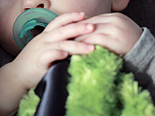 СК возбудил дело о халатности чиновников после пропажи девочки под Новгородом