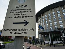 В ОЗХО опять обвинили Сирию в химатаке в 2018 году