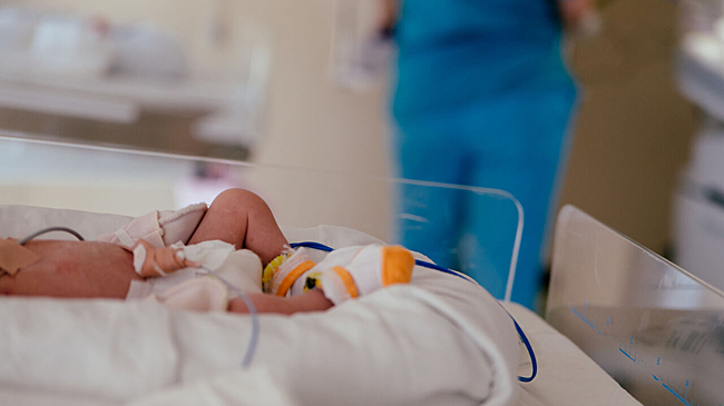 Шесть малышей появились на свет в кузбасской колонии