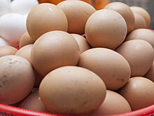 Роспотребнадзор рассказал, как хранить яйца
