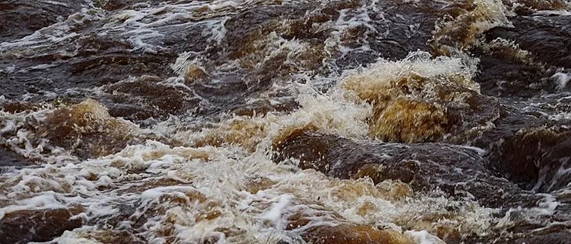 В Псковской области в реке Ловать поднялся уровень воды
