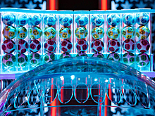 В Новосибирской области пенсионер Василий буднично выиграл 1 млн в лотерею