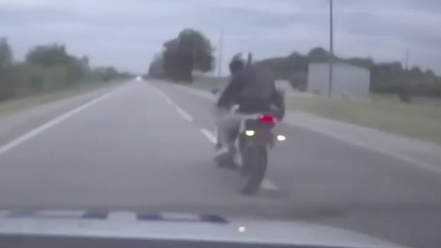 До 250 тысяч рублей штрафов грозит задержанному в ходе погони байкеру из Кабардино-Балкарии