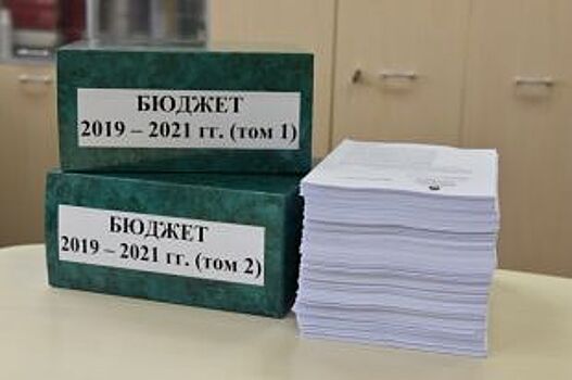 Бюджет Санкт-Петербурга на 2019 год принят в первом чтении
