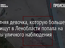 12-летняя девочка, которую больше суток ищут в Ленобласти, попала на камеры уличного наблюдения