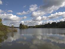 В тюменском озере Андреевское утонул мужчина