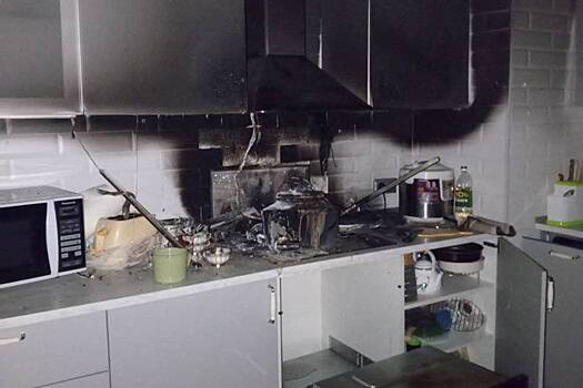 Красивый петербургский кот едва не сжег квартиру хозяев